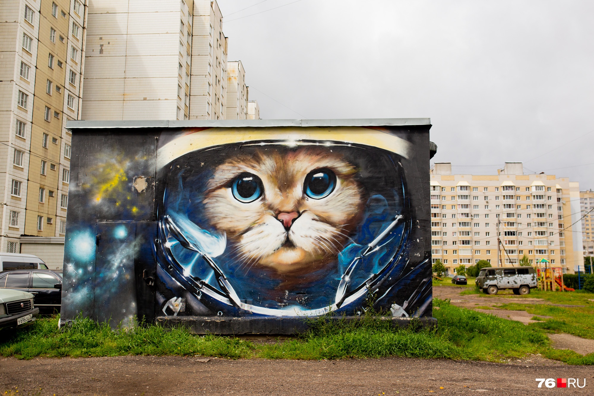 С ними город стал ярче: 14 необычных граффити на улицах Ярославля