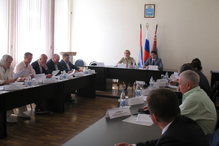 Комиссию депутатов возглавила Елена Лапушкина Комиссию депутатов возглавила Елена Лапушкина