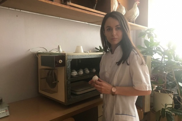 Светлана Харлап, кандидат биологических наук, потратила на исследование 2 года и 20 тысяч яиц Светлана Харлап, кандидат биологических наук, потратила на исследование 2 года и 20 тысяч яиц