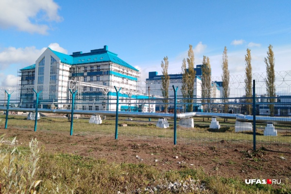 Общую сумму причиненного природе ущерба оценили в 44 миллиона рублей Общую сумму причиненного природе ущерба оценили в 44 миллиона рублей