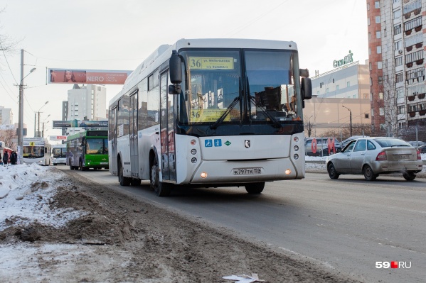 На маршруте № 36 увеличат количество автобусов На маршруте № 36 увеличат количество автобусов 