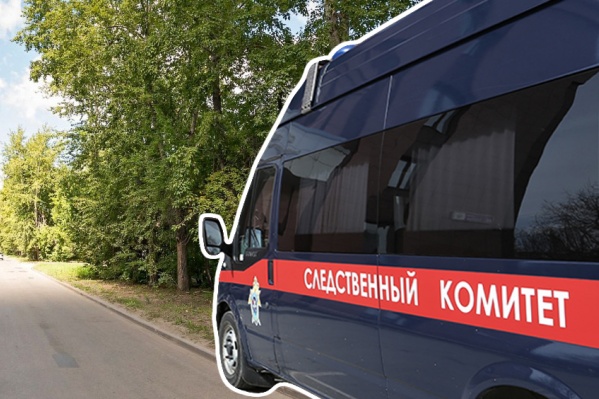 Мужчина, обвиняемый в покушении на убийство малолетнего, уже был судим Мужчина, обвиняемый в покушении на убийство малолетнего, уже был судим