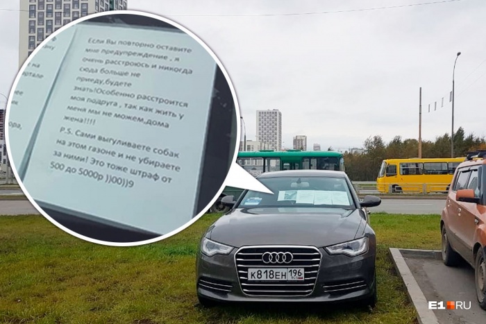 Водитель Audi решил отстоять свое право на газонную парковку Водитель Audi решил отстоять свое право на газонную парковку