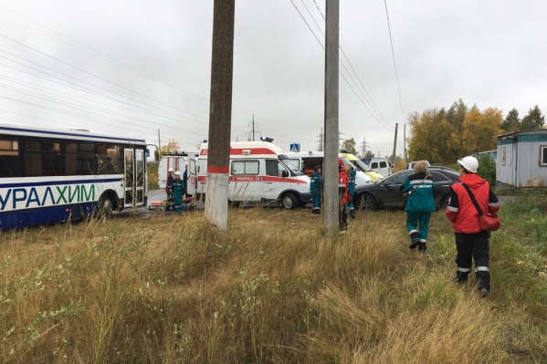 В учениях принимают участие сразу три крупные компании В учениях принимают участие сразу три крупные компании