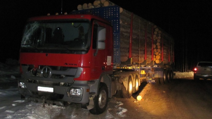 В Плесецком районе при перевозке леса погиб рабочий