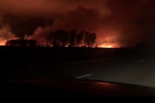 На границе Новосибирской области и Алтайского края полыхали трава и деревья На границе Новосибирской области и Алтайского края полыхали трава и деревья