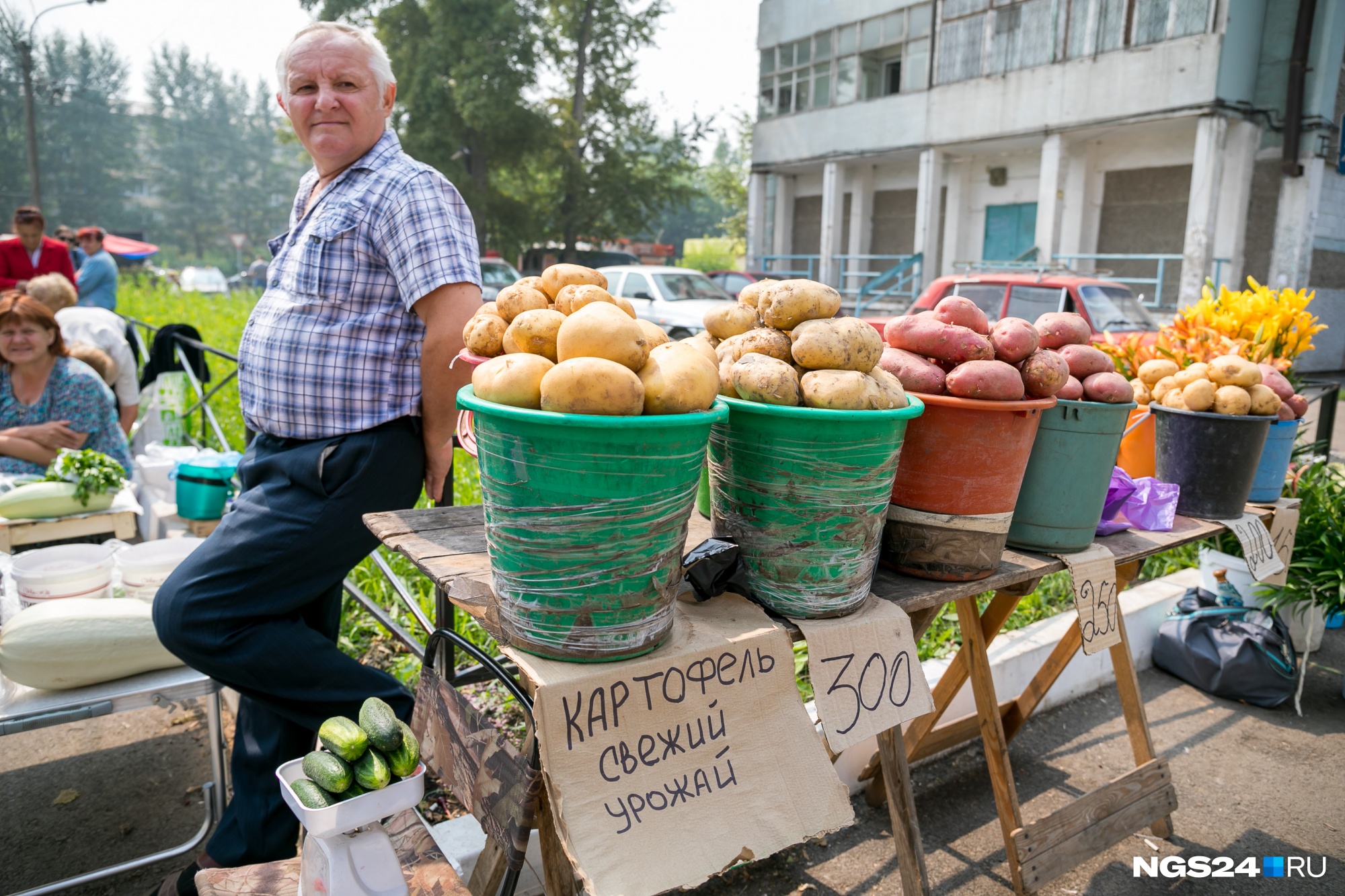Ведро свежей картошки можно купить за 300 рублей 