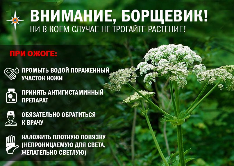 Памятка спасателей Памятка спасателей