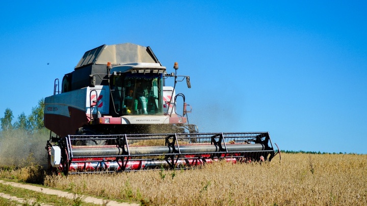 Пшеницу и ячмень из Красноярска будут развозить по всей стране