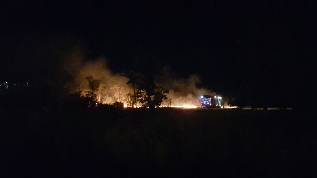 Пожарным снова пришлось тушить овраг рядом с ТРК «Комсомолл» в Волгограде