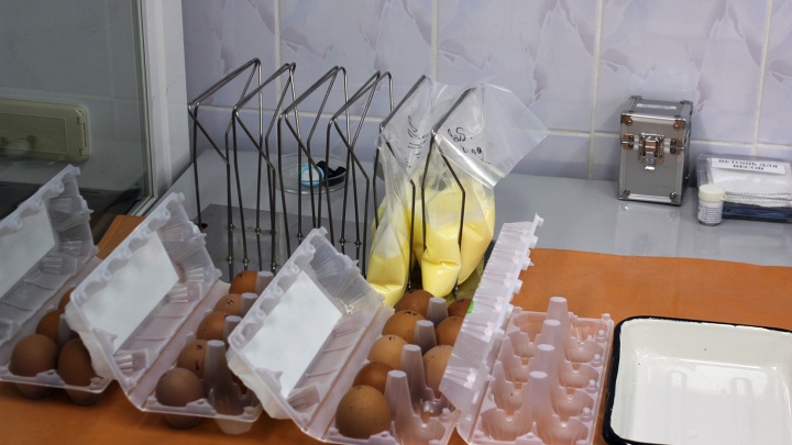 Директор птицефабрики «Оша» прокомментировал информацию о сальмонеллёзе