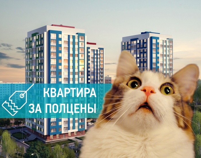 Как купить квартиру в новостройке за полцены