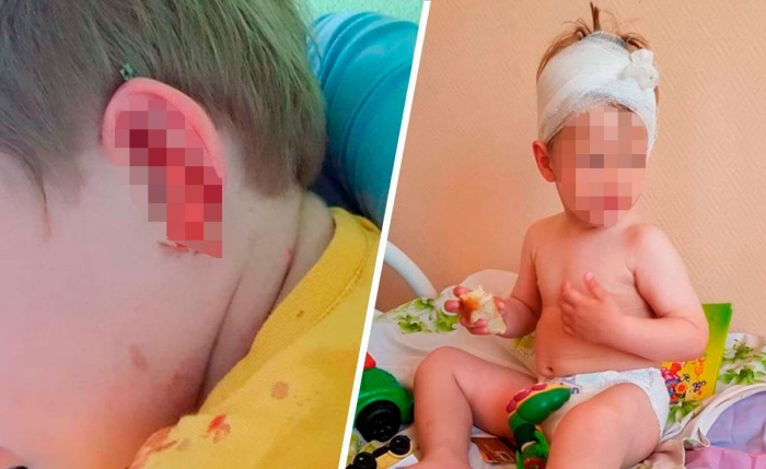 Степа лечился в больнице полторы недели Степа лечился в больнице полторы недели