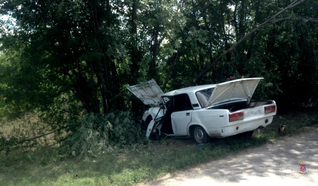 В Волгоградской области водитель вылетел с дороги на обочину и погиб после столкновения с деревом