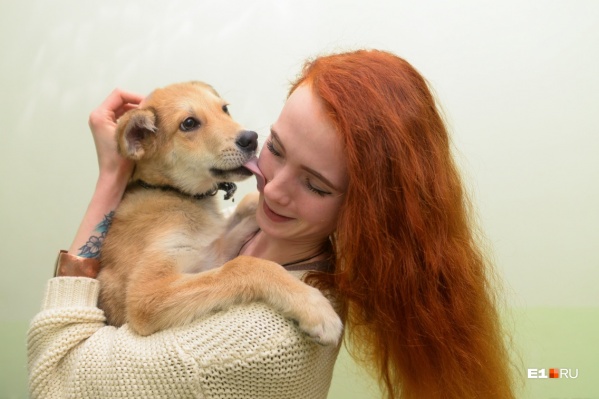 На этих выходных можно будет пообщаться с милыми бездомными животными и даже забрать одно из них домой