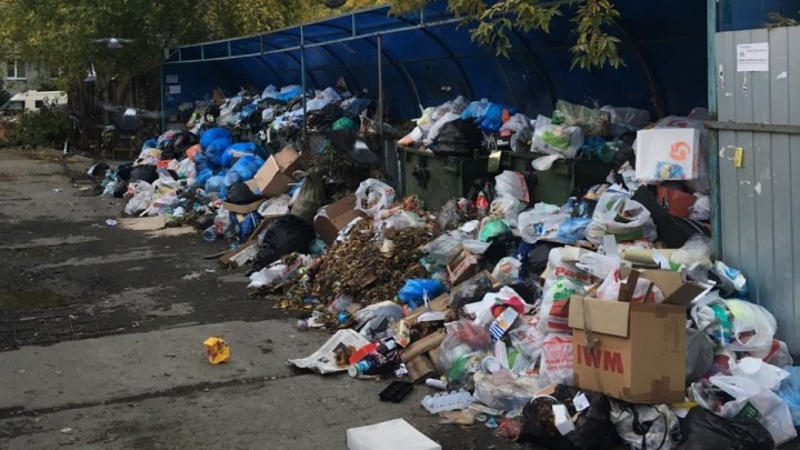 Санврачи и прокуроры обязали мэрию убрать мусорные свалки в частном секторе Екатеринбурга
