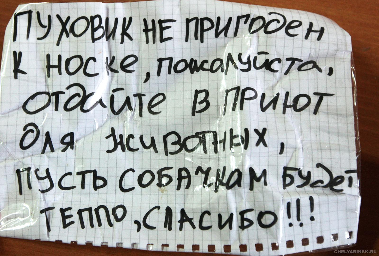 Поношенные зимние куртки иногда принимают в приютах для животных Поношенные зимние куртки иногда принимают в приютах для животных