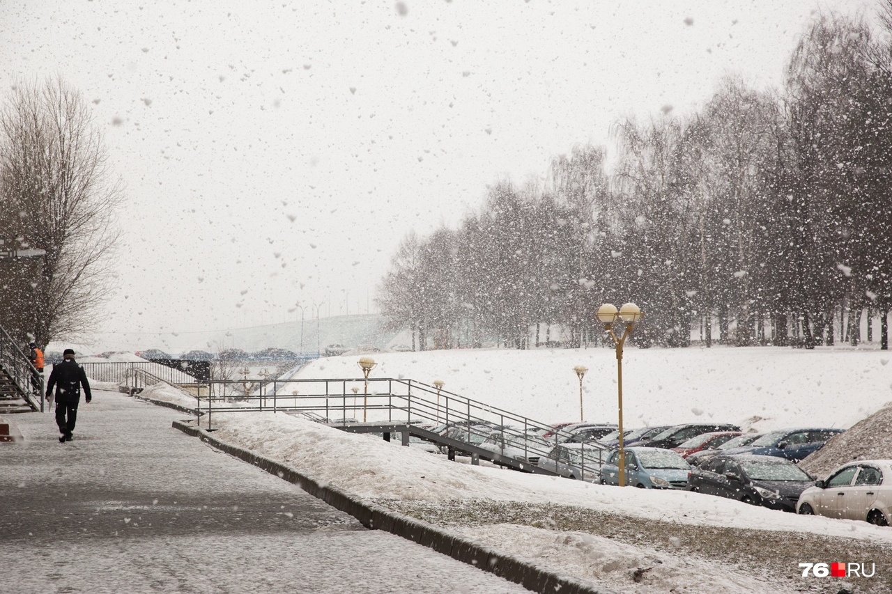 Гололёд, мокрый снег и сильный ветер: какая погода будет в конце ноября в Ярославле