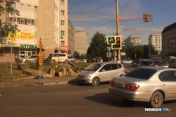 Вырубленные деревья Вырубленные деревья