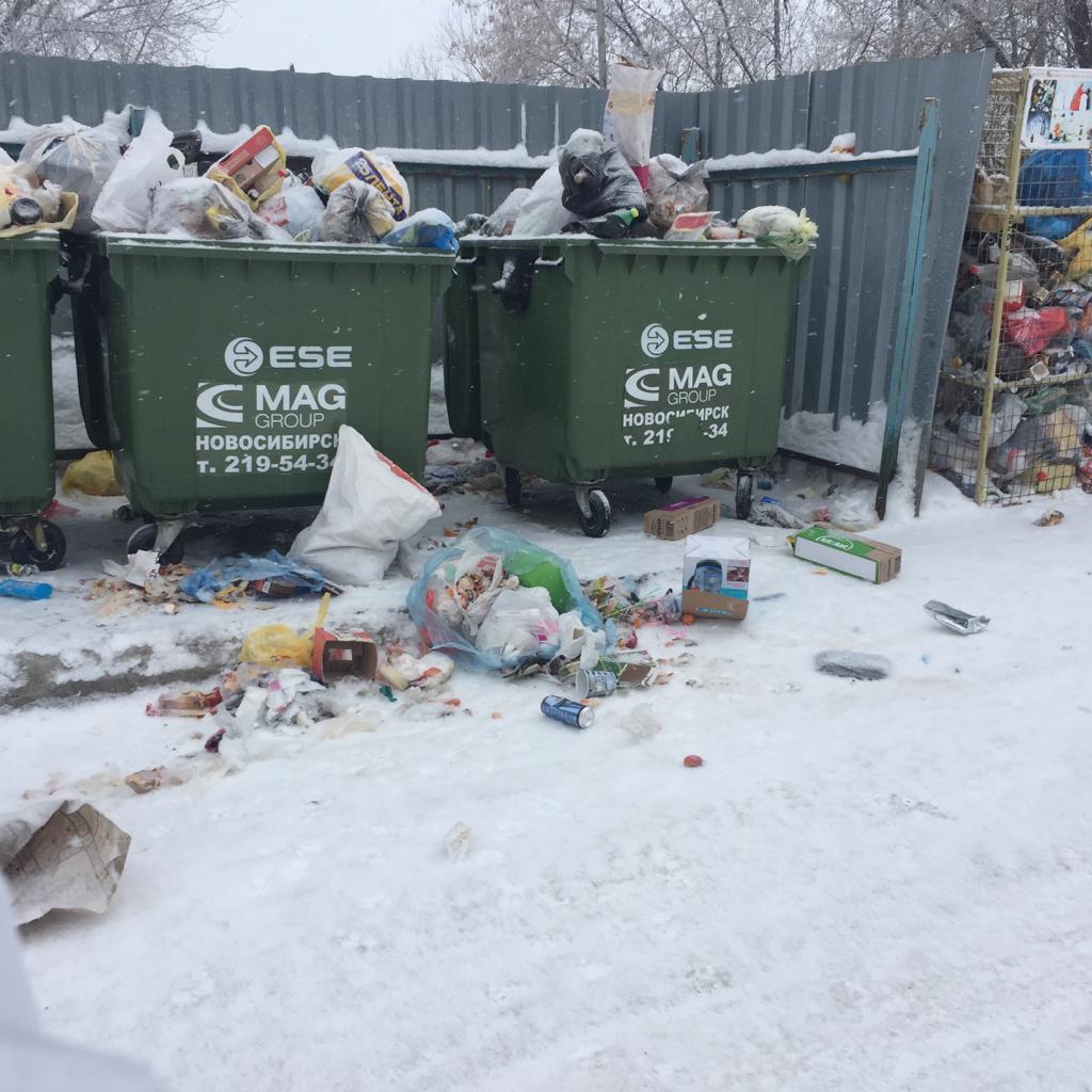 Свалка по адресу Бородина, 15 Свалка по адресу Бородина, 15