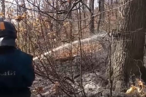 В лесу много единичных очагов, которые приходится тушить вручную В лесу много единичных очагов, которые приходится тушить вручную