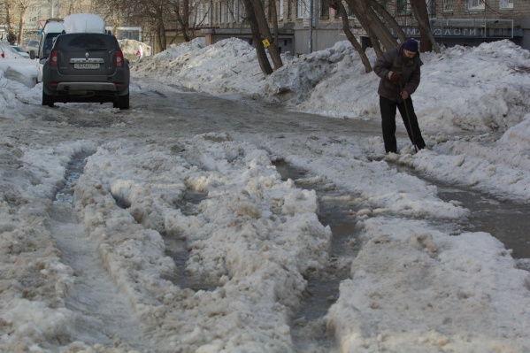В Новосибирске в пятницу будет до +1 градуса В Новосибирске в пятницу будет до +1 градуса