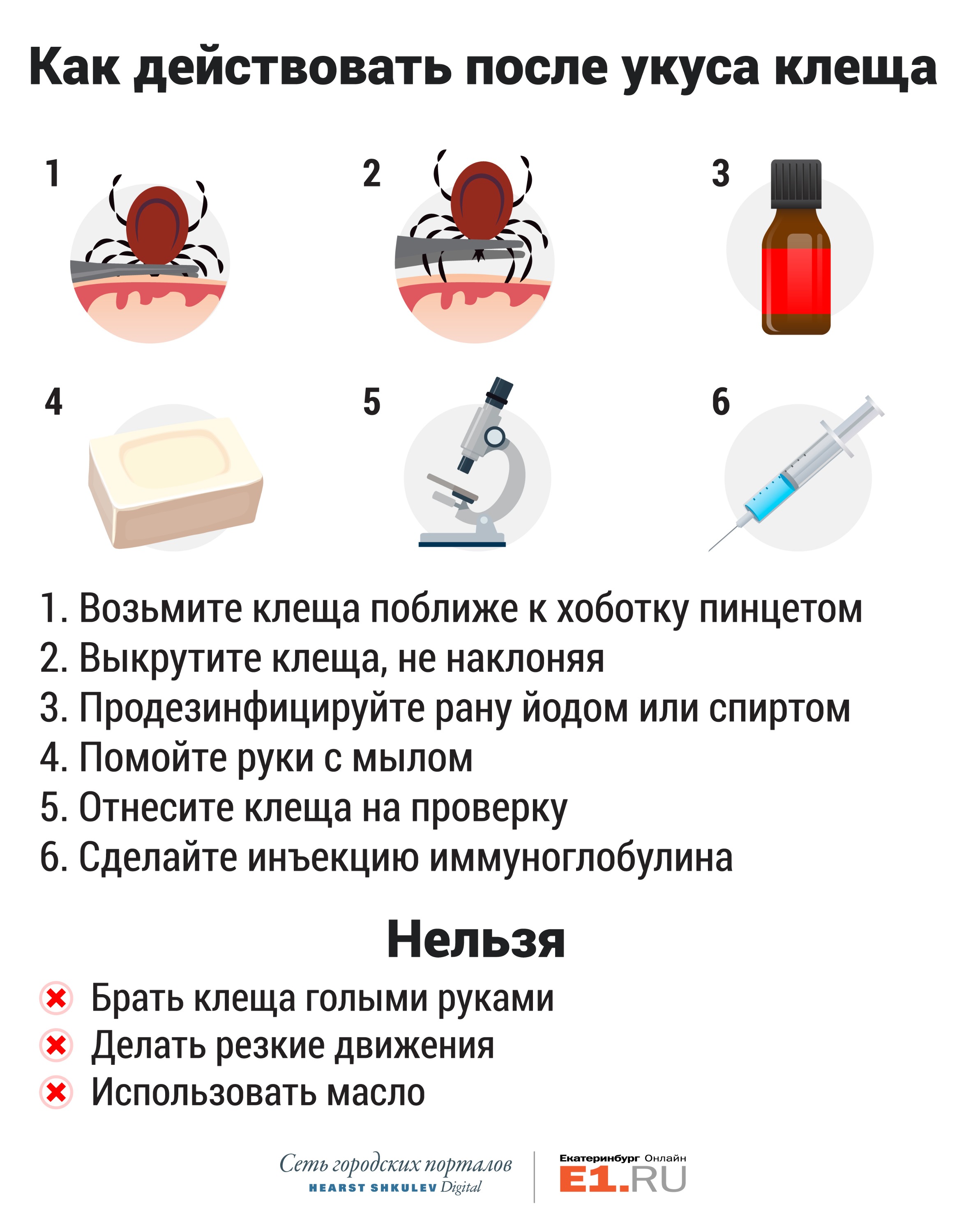 От клеща не зарекайся: инструкция E1.RU для уральского туриста