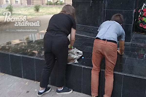 Подростки стали тушить огонь после того, как на них навели камеру Подростки стали тушить огонь после того, как на них навели камеру