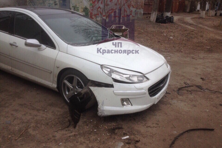 Свора собак оторвала брызговик, бампер и госномер Свора собак оторвала брызговик, бампер и госномер