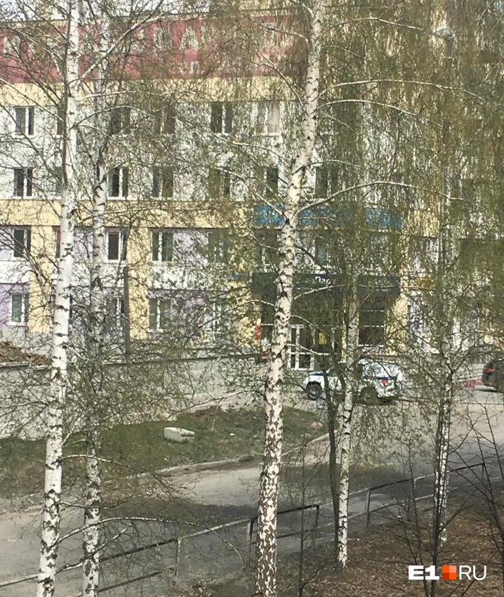 Волна «минирований» в Екатеринбурге парализовала работу офисников и торговых центров