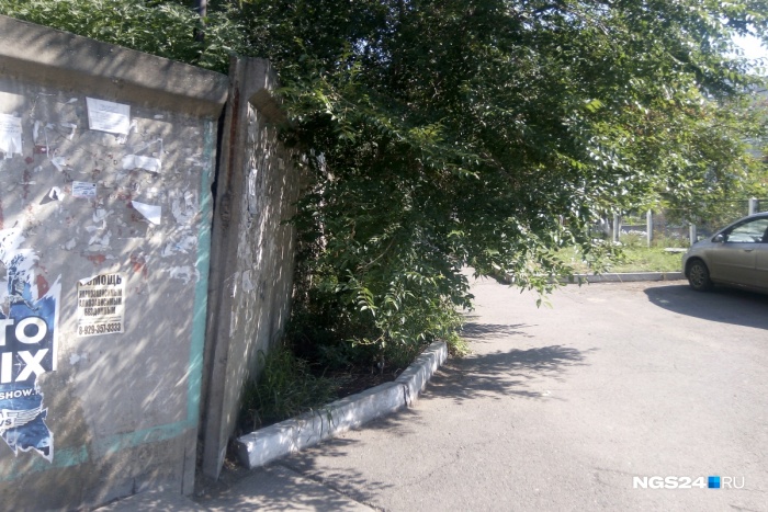 Подпорная стена в человеческий рост, часть которой опасно накренилась над дорожкой Подпорная стена в человеческий рост, часть которой опасно накренилась над дорожкой