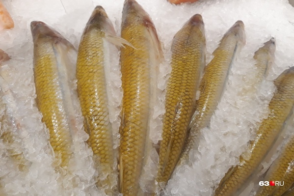 Нарушители хранили морепродукты неправильно Нарушители хранили морепродукты неправильно 