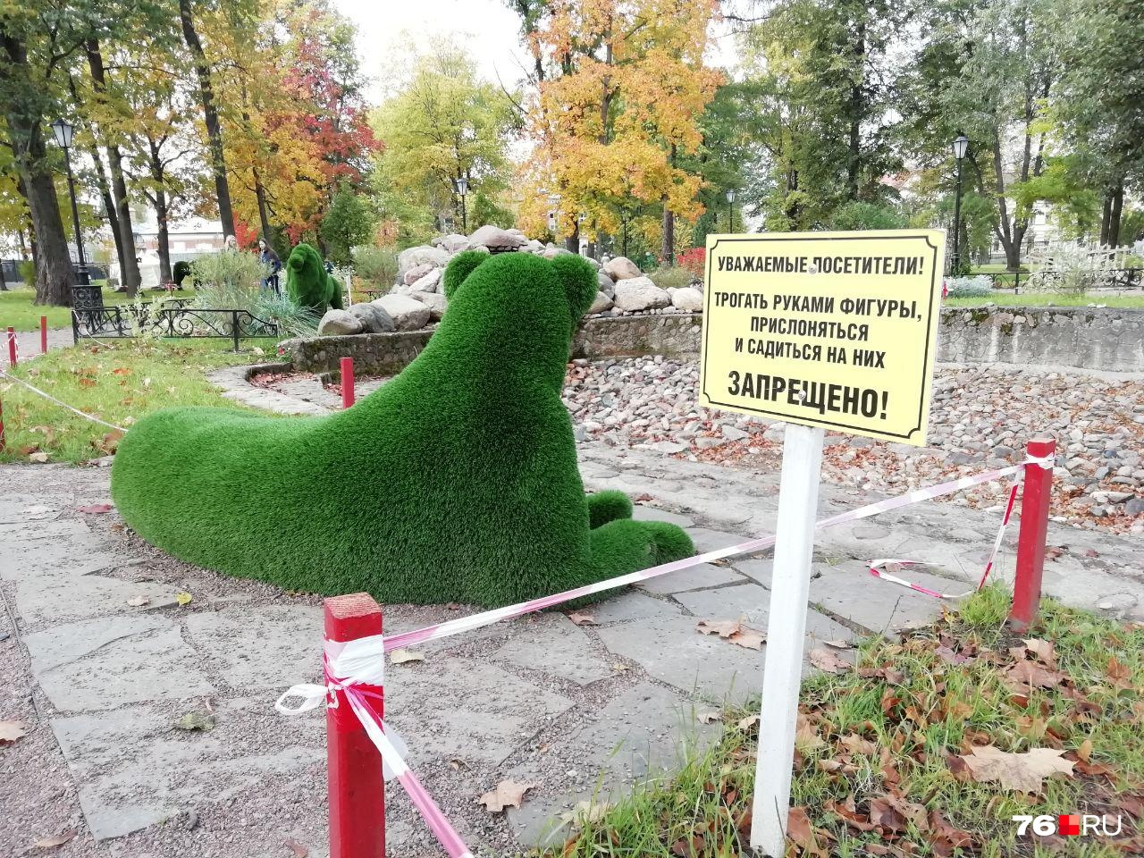 Сад строгого режима: в Рыбинске создали городской парк, где ничего нельзя