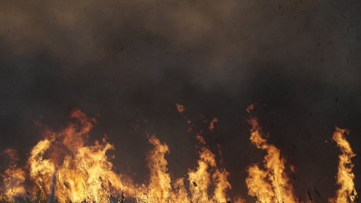 Не жечь костры: в Ростове снова возникла угроза пожаров