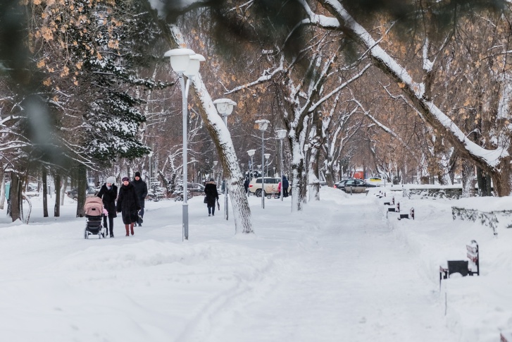 В ближайшие годы в Орджоникидзевском районе станет больше мест для прогулок
