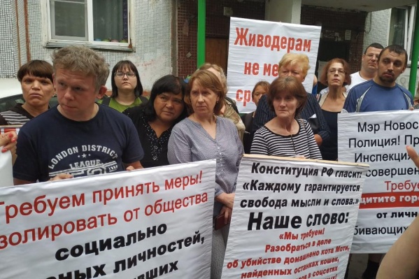 Жители потребовали расследовать жестокое обращение с животным Жители потребовали расследовать жестокое обращение с животным