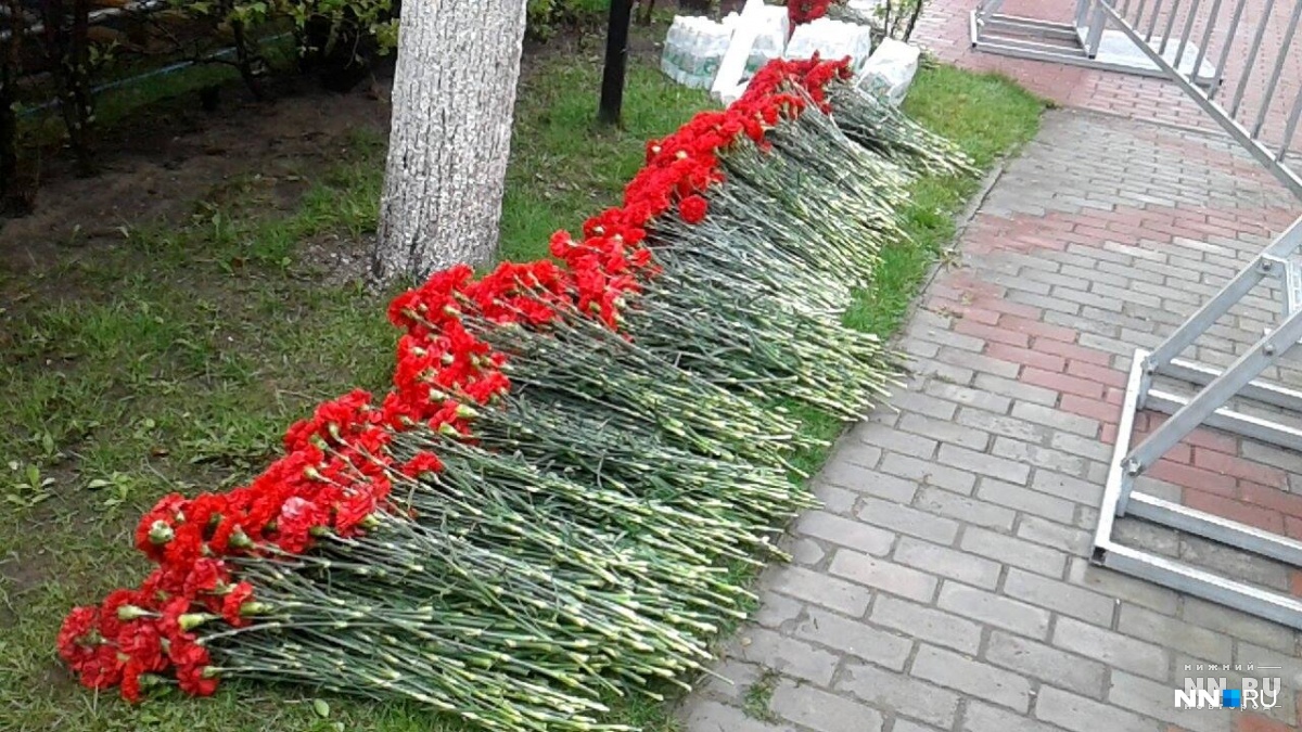 Вырубили память. В Лысковском районе уничтожили аллею памяти ветеранов Великой Отечественной войны