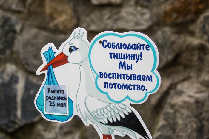 Новые таблички у вольеров с животными Новые таблички у вольеров с животными
