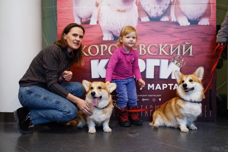 По словам хозяев корги, эти собаки очень добродушны и всегда рады общению с людьми По словам хозяев корги, эти собаки очень добродушны и всегда рады общению с людьми