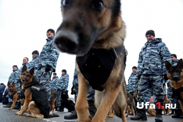 Полицейским удалось поймать угонщика Полицейским удалось поймать угонщика