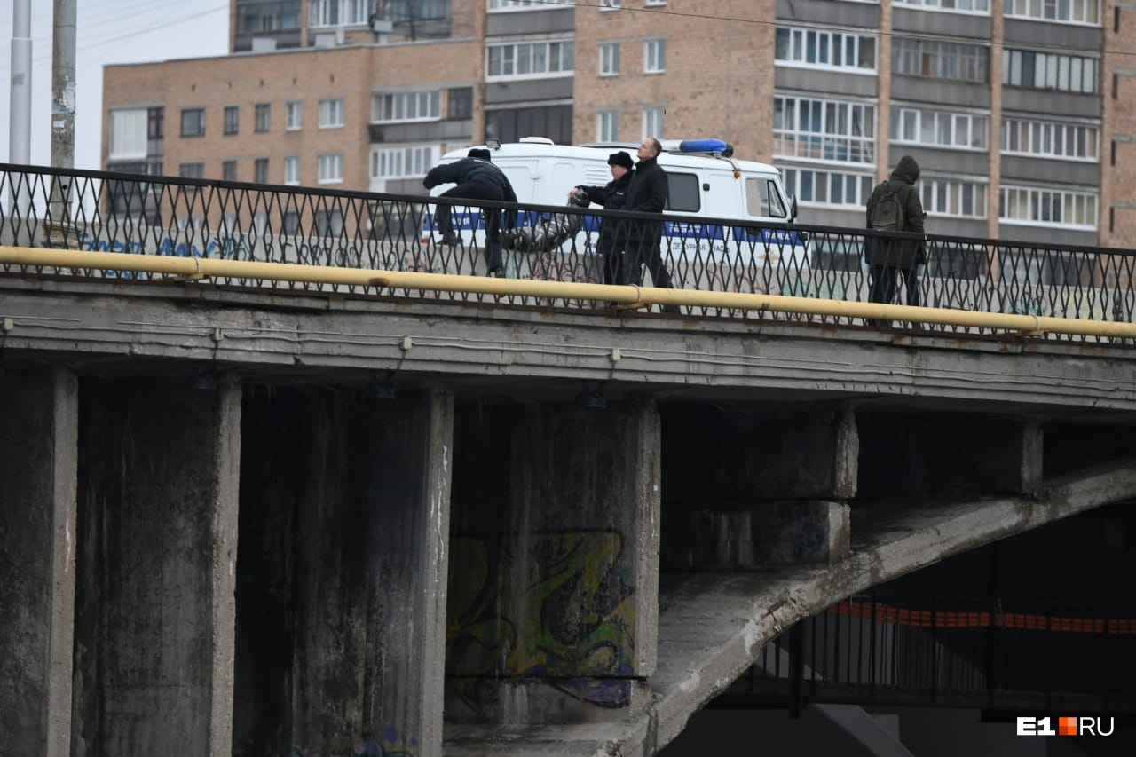 Со стороны мешок выглядел очень жутко Со стороны мешок выглядел очень жутко