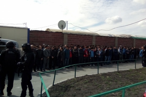 Более 50 мигрантов проверили на причастность к преступлениям Более 50 мигрантов проверили на причастность к преступлениям