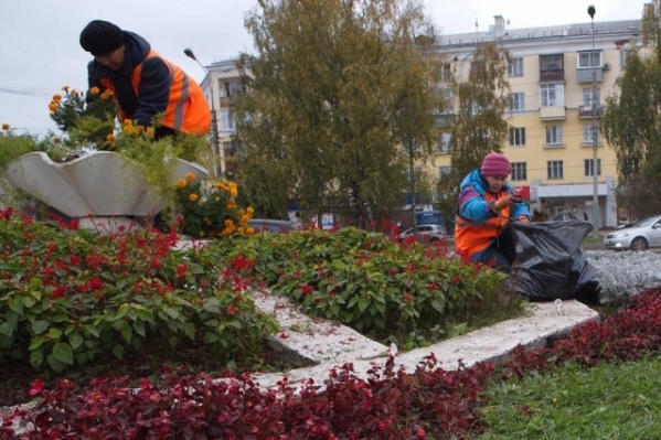 В мэрии Ярославля говорят, что оформляют клумбы, учитывая пожелания горожан В мэрии Ярославля говорят, что оформляют клумбы, учитывая пожелания горожан