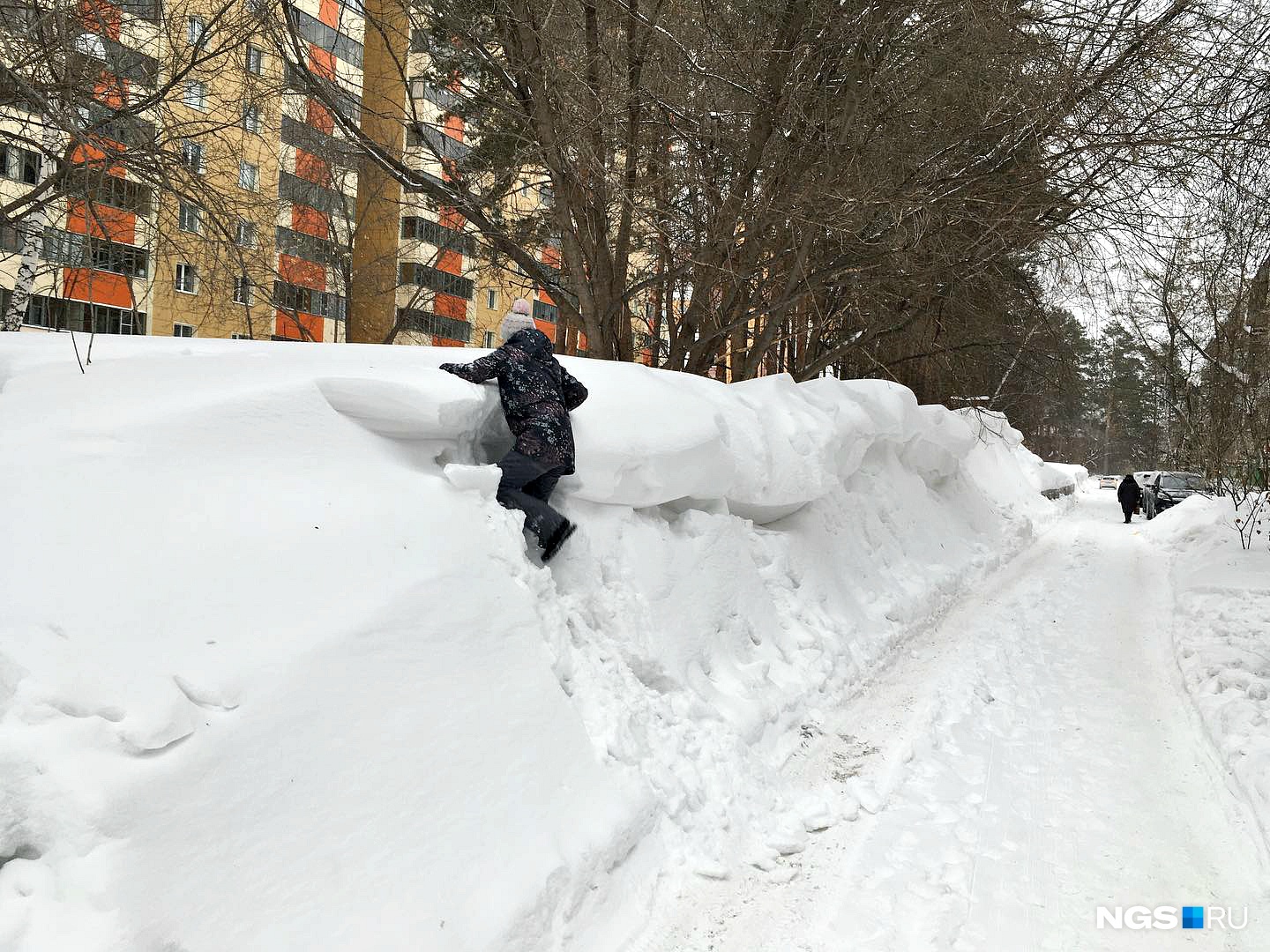 В Академгородке вырос сугроб выше человеческого роста — дети лазают по нему как по горам