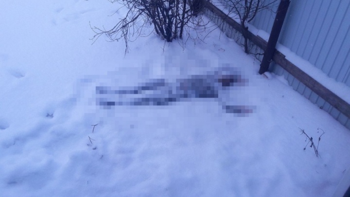В Башкирии на участке возле дома нашли труп