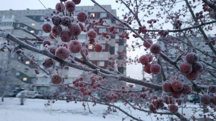 Зимняя сказка: любуемся морозными пейзажами Красноярска