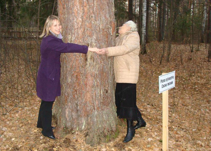 Сосна из Просветского дендрария признана «Деревом — памятником живой природы»
