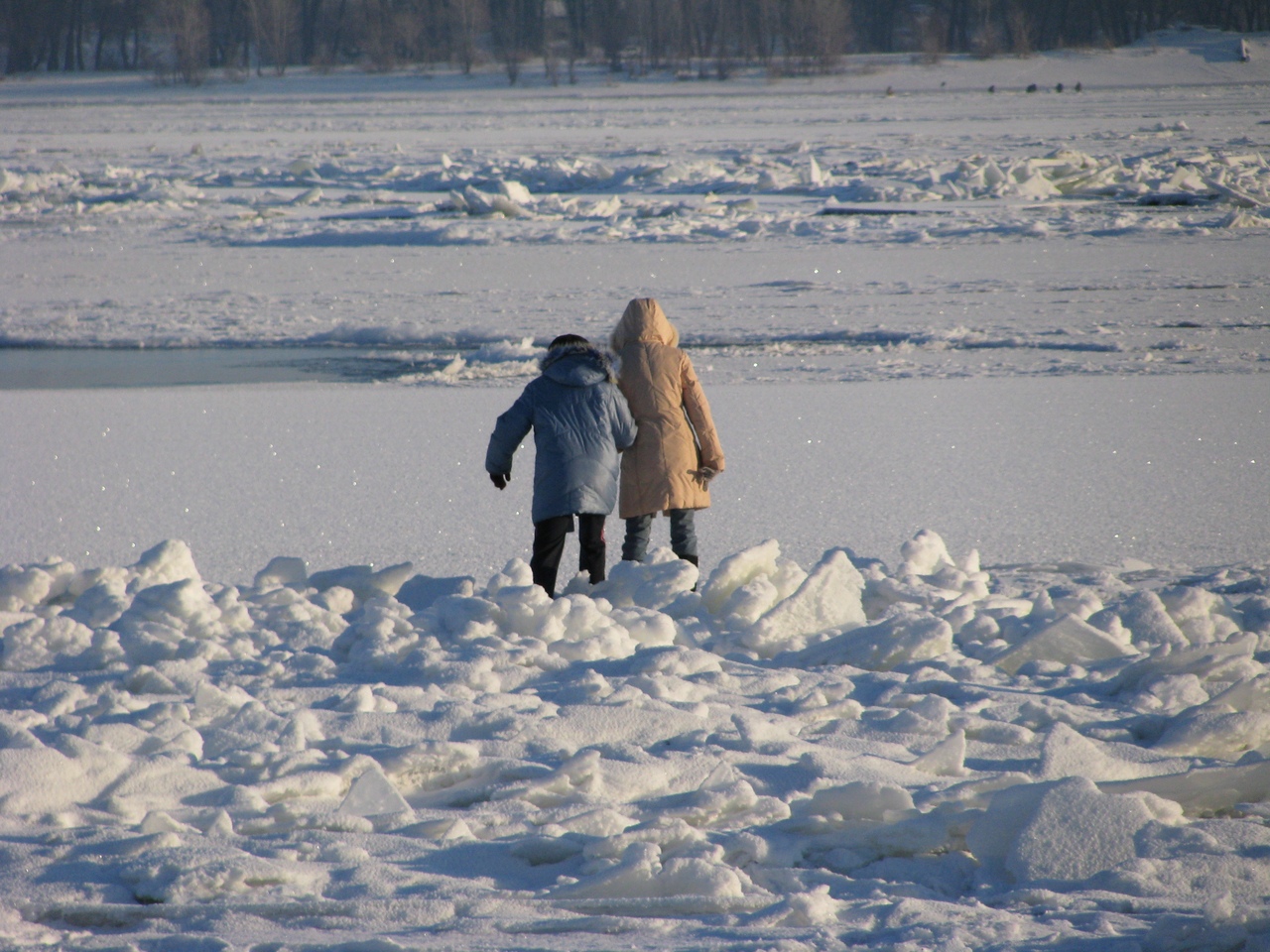 «Даже ног не замочил»: бравый капитан спас школьника с дрейфующей льдины в Волгограде