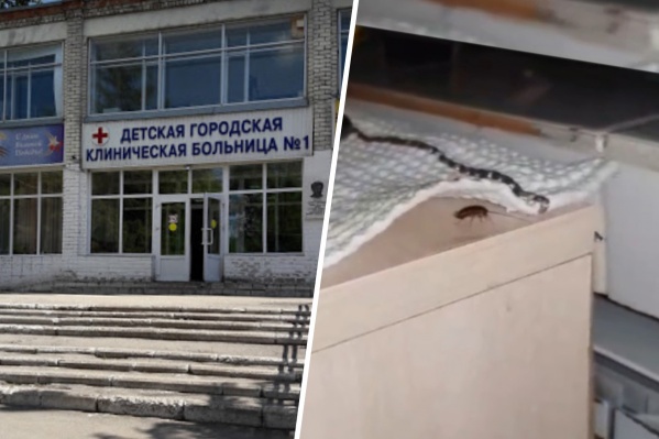 В больнице не отрицают, что в здании есть тараканы В больнице не отрицают, что в здании есть тараканы