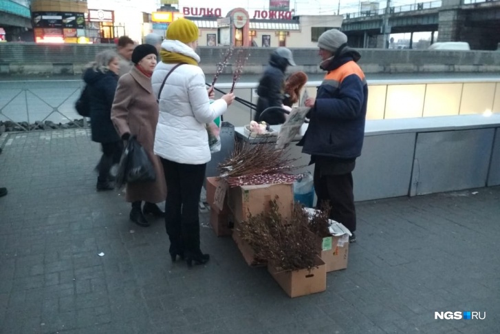 Распустившаяся алтайская верба стоит дороже новосибирской Распустившаяся алтайская верба стоит дороже новосибирской